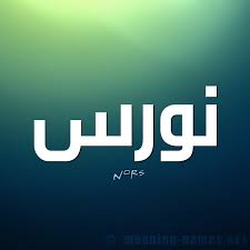 In 1945, nuris had 570 inhabitants. Ù…Ø´Ø§Ù‡ÙŠØ± ÙŠØ­Ù…Ù„ÙˆÙ† Ø§Ø³Ù… Ù†ÙˆØ±Ø³ Ùˆ Ù…Ø¹Ù†Ù‰ Ø§Ø³Ù… Ù†ÙˆØ±Ø³ Ù‚Ø§Ù…ÙˆØ³ Ø§Ù„Ø£Ø³Ù…Ø§Ø¡ Ùˆ Ø§Ù„Ù…Ø¹Ø§Ù†ÙŠ