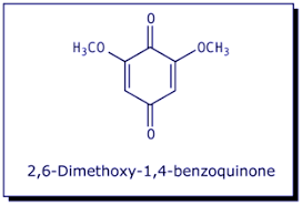 Image result for Deinbollia sp. A