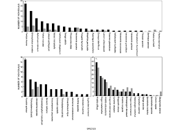 Image result for Tragus koelerioides