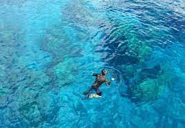 10 Best Snorkeling Spots In Palawan The Philippines
