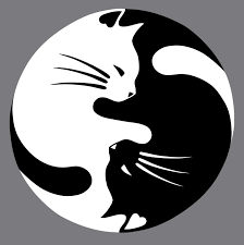 Yinyang Tato Kucing Binatang Seni Kucing
