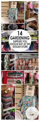 When it comes to seasonal decor at affordable prices, dollar general has you covered! 14 Dollar Store Gardening Supplies To Buy Bees And Roses Garden Ideas Cheap Gardening Supplies Dollar Stores