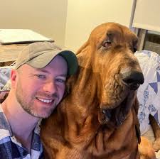 Walter the Bloodhound