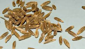 Look through examples of cumin translation in sentences, listen to pronunciation and learn grammar. Cumin