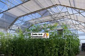 Check spelling or type a new query. Best Ways To Keep Your Greenhouse Cool In Summer Gothic Arch Greenhouses Blog
