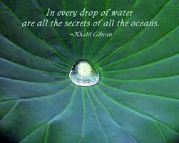 Tell your students that the cup of water represents the rivers and oceans. Beauty Break 127 Nature Quotes Water Quotes Water Drop Quotes