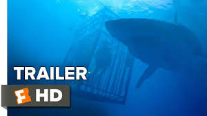 The plot follows two sisters who are invited to cage dive while on holiday in mexico. Review 47 Meters Down Is Predictable And Boring Aggressive Comix