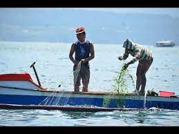 lambat way of fishing traditional filipino ways of fishing fish filipino traditional