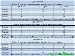 как накачать пресс в домашних условиях за 1 день Kak Nakachat Press Za Mesyac V Domashnih Usloviyah Uprazhneniya Periodic Table