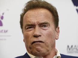 Arnold Schwarzenegger drop-kicked while taking selfie in South Africa