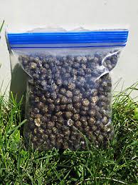 Image result for rabbit droppings