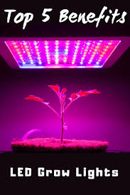 More gleam.io giveaways enter giveaway on gleam.io. Top 5 Benefits Of Led Grow Lights Gardening Know How S Blog