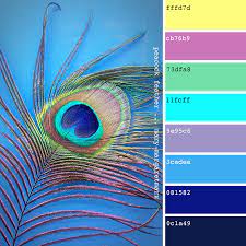 We did not find results for: Pin On Colors