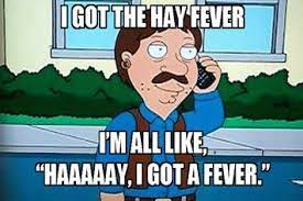 18 Things All People With Hayfever Will Understand Hayfever Funny Hayfever Remedies Understanding