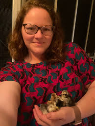 Give me all the tips and tricks for brooding serama chicks. I feel like I'm  losing them left and right! I have a heat plate set low. I ground their  feed (flock