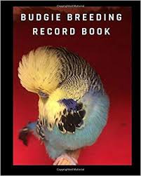 Birds Of South Africa Book Pdf Budgie Breeding Record Book Log Book For Birds Notebook Diary Hatching Chicks Eggs Cage 100 Templates 8 X 10 B Budgies Hatching Chicks Recorded Books