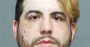 Man wanted for allegedly stealing purses in Toronto