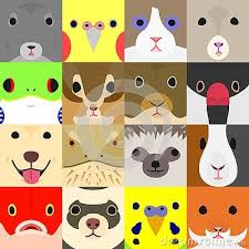 Set Of Colorful Pet Animals Face In Square Eyes Nose And Mouth Animal Faces Pets Cute Animals