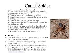 Even though this is a very hot location none of them have been found here. Ppt Arthropods Powerpoint Presentation Free Download Id 5415894