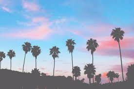 Surf Sun Sand Love And Friends The Summer Never Ends A Good Mega Chill Apple Music Playlist To Play As Y Header Tumblr Vibes Tumblr Summer Vibes Adventure
