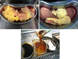 Hamster picture 835 1000 jpg hamsters are famous for running endless. Clinical Islet Isolation Springerlink