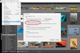 Lightroom is a powerful tool, and for many photographers, it's an even more important photo editing resource than photoshop, because it does more to simulate the one thing that some users get stuck on is how to save photo in lightroom, because like many adobe projects, the edits made are saved. Don T Lose Your Edits In Adobe Lightroom Automatically Save Metadata To Xmp Photojoseph Com
