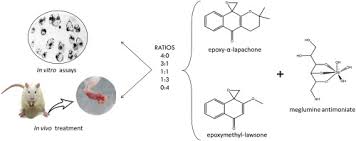 Maybe you would like to learn more about one of these? The Combination Therapy Of Meglumine Antimoniate And Oxiranes Epoxy A Lapachone And Epoxymethyl Lawsone Enhance The Leishmanicidal Effect In Mice Infected By Leishmania Leishmania Amazonensis Sciencedirect