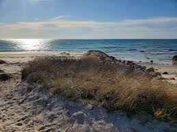 Jul 06, 2021 · this fabulous private beach location in north falmouth, in the private seaside community of bay shore, has one of the most gorgeous beaches on cape cod! Falmouth Officials Consider Opening Up More Beach Parking Capecod Com