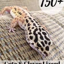 Pictures of reptiles animals with names. 150 Cute And Clever Names For Your Pet Lizard Pethelpful