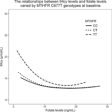 mthfr gene and serum folate interaction on serum