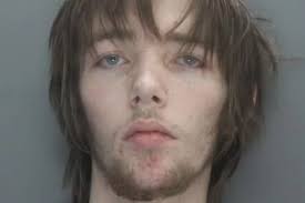 Robber breaks his wrist after jumping over 50ft garden wall to escape  police