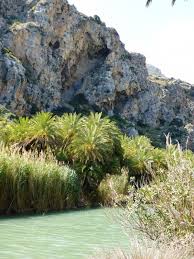 Image result for Eremospatha haullevilleana