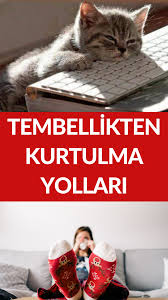 Tembellikten Kurtulma Yollari Cats