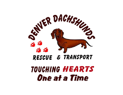 4,753 likes · 8 talking about this. Pets For Adoption At Denver Dachshunds Rescue And Transport In Aurora Co Petfinder