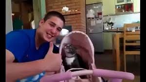 En Komik Kedi Videolari Kesin Izle D Character