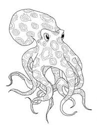 Blue Ringed Octopus Coloring Page Super Coloring Octopus Coloring Page Octopus Colors Ocean Coloring Pages