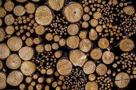 Image result for log