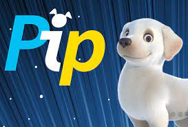 Pip has earned its fame by the number of applications using this tool. October 2018 Simplecloud Animation