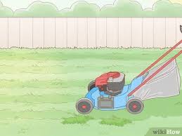 The easiest way to rid yourself of frogs, and keep them out over the long term is to work on your yard and making a few slight adjustments. How To Get Rid Of Frogs With Pictures Wikihow