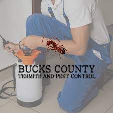 Also serving bucks county and quakertown, pa. Bucks County Termite And Pest Control Youtube