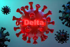 Jun 21, 2021 · cepa delta: Documento Sigiloso Do Governo Americano Aponta Que A Variante Delta E Mais Letal Do Que Qualquer Cepa Gzh