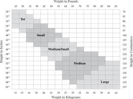 Capezio Size Chart