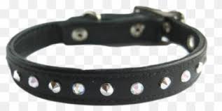 About press copyright contact us creators advertise developers terms privacy policy & safety how youtube works test new features press copyright contact us creators. Free Transparent Collar Png Images Page 1 Pngaaa Com