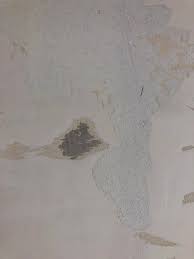 Image result for site:byggahus.se hempulare