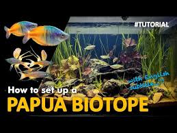 Teluk air tawar means clear water bay in the malay language. Biotope Aquascape Step By Step With Eng Subs Youtube