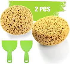 Learn how to sponge paint with a little help from the home depot. Amazon Com Knockdown Texture Sponge