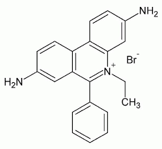 Résultat de recherche d'images pour "image bromure d'éthidium"