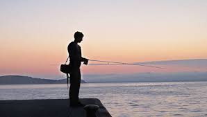 The river camel rises on bodmin moor and reaches the sea about thirty miles later at padstow on the north cornwall coast. Fishing In Padstow Harbour Locals Secrets Best Padstow Fishing Trips