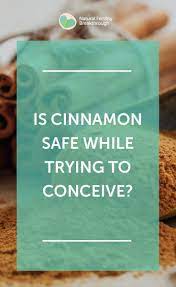 Fertility Faq Is Cinnamon Safe To Eat While Ttc Learn The Herbs Spices Safe For Your Fertility From Natural Trying To Conceive Fertility Natural Fertility