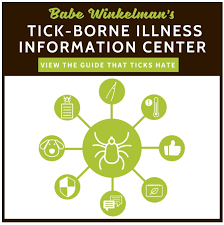 Crispr cascade protein (cyan) bound to crispr rna (green) and phage dna (red)1. About Us